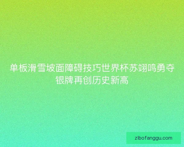 单板滑雪坡面障碍技巧世界杯苏翊鸣勇夺银牌再创历史新高