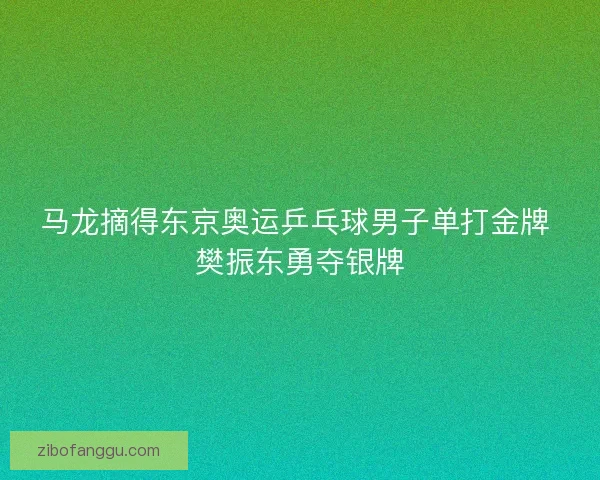 马龙摘得东京奥运乒乓球男子单打金牌 樊振东勇夺银牌